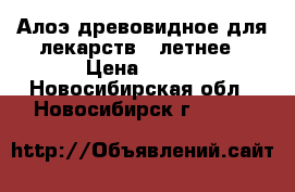 Алоэ древовидное для лекарств 4 летнее › Цена ­ 500 - Новосибирская обл., Новосибирск г.  »    